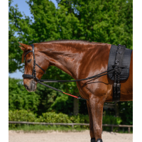 Rênes triangulaire W-train Waldhausen Schwarz