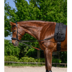 Rênes triangulaire W-train Waldhausen Schwarz