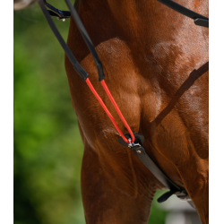 Rênes triangulaire W-train Waldhausen Schwarz