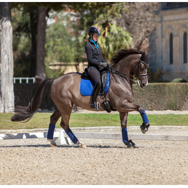 LeMieux Suede Dressur Schabracke Benetton Blau