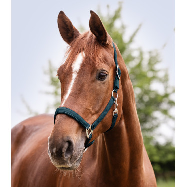 Licol Waldhausen Satin Petrolblau