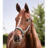 Licol Waldhausen Satin Silberblau Licol Waldhausen Satin Silberblau