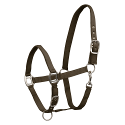 Licol Waldhausen Satin Braungrün Licol Waldhausen Satin Braungrün