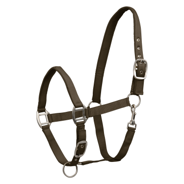 Licol Waldhausen Satin Braungrün Licol Waldhausen Satin Braungrün