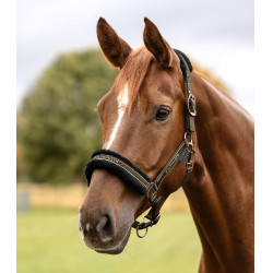 Licol Waldhausen Elegant Braungrün