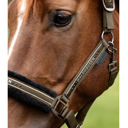 Licol Waldhausen Elegant Braungrün