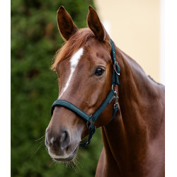 Licol Waldhausen Atheltic Petrolblau