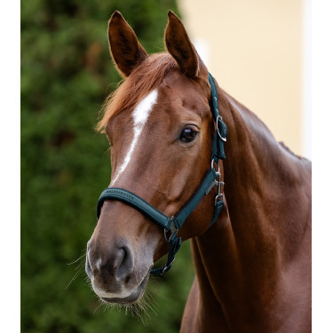 Licol Waldhausen Atheltic Petrolblau