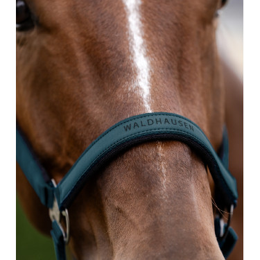 Licol Waldhausen Atheltic Petrolblau