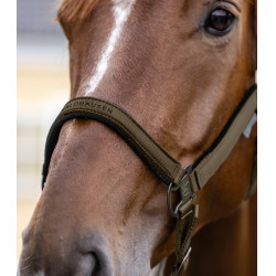 Licol Waldhausen Atheltic Braungrün