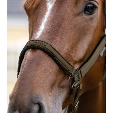 Licol Waldhausen Atheltic Braungrün