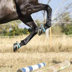 Hufschuh Scoot Boots Hufschuh Scoot Boots
