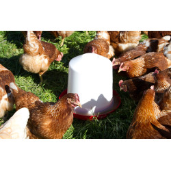 Kunststofftränke Kerbl Hobbyfarming Weiß / Rot Wei&amp;amp;amp;amp;amp;amp;szlig;