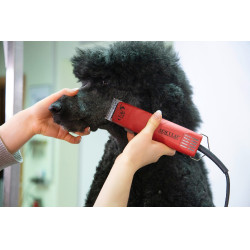 Aesculap Schermaschine FAV5 Rot Aesculap Schermaschine FAV5 Rot