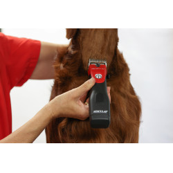 Akku-Schermaschine Favorita CLi Aesculap Rot