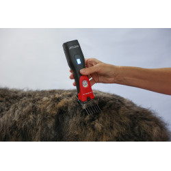 Akku-Schermaschine Favorita CLi Aesculap Rot