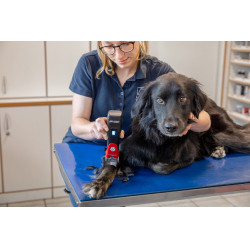 Akku-Schermaschine Favorita CLi Aesculap Rot