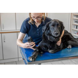 Akku-Schermaschine Favorita CLi Aesculap Rot