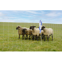 OviNet Maxi AKO Weiß / Blau Weiß