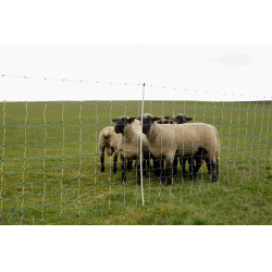 OviNet Maxi AKO Weiß / Blau Weiß OviNet Maxi AKO Weiß / Blau Weiß