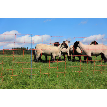 OviNet Premium AKO Orange