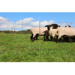 OviNet Premium AKO Orange