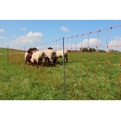 OviNet Premium AKO Orange