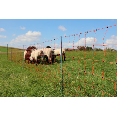 OviNet Premium AKO Orange