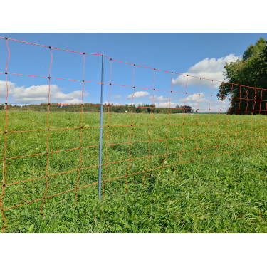 OviNet Premium AKO Orange