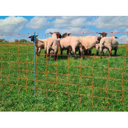 OviNet Premium AKO Orange