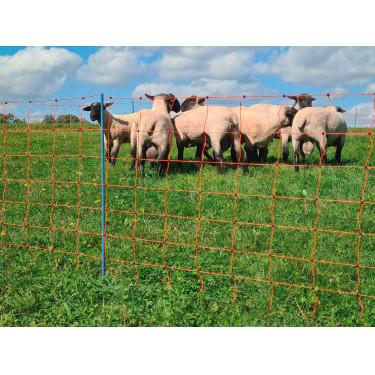 OviNet Premium AKO Orange