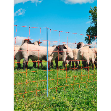 OviNet Premium AKO Orange