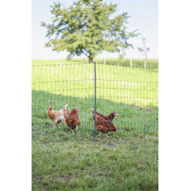 Premium-PVC-Pfahl AKO Grün Grün Premium-PVC-Pfahl AKO Grün Grün