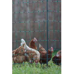 Premium-PVC-Pfahl AKO Grün Grün Premium-PVC-Pfahl AKO Grün Grün