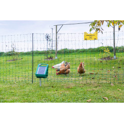 Premium-PVC-Pfahl AKO Grün Grün Premium-PVC-Pfahl AKO Grün Grün