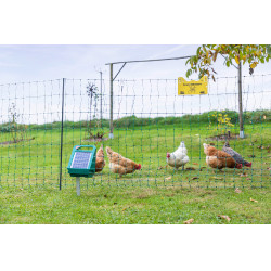 Premium-PVC-Pfahl AKO Grün Grün Premium-PVC-Pfahl AKO Grün Grün