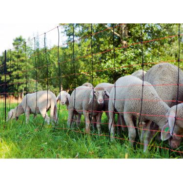 TitanNet AKO Orange / Schwarz TitanNet AKO Orange / Schwarz