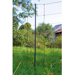 TitanNet AKO Orange / Schwarz TitanNet AKO Orange / Schwarz