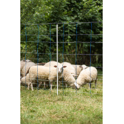 TitanNet 145 AKO Blau / Weiß