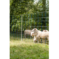 TitanNet 145 AKO Blau / Weiß