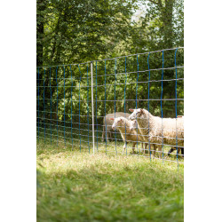 TitanNet 145 AKO Blau / Weiß