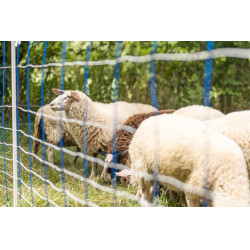 TitanNet 145 AKO Blau / Weiß