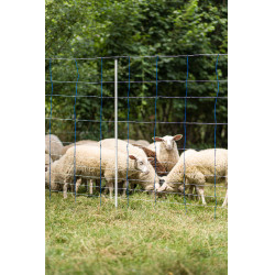 TitanNet 145 AKO Blau / Weiß