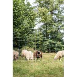 TitanNet 145 AKO Blau / Weiß