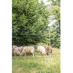 TitanNet 145 AKO Blau / Weiß