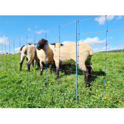 TitanNet Premium AKO Blau / Orange TitanNet Premium AKO Blau / Orange