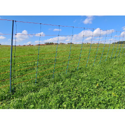 TitanNet Premium AKO Blau / Orange TitanNet Premium AKO Blau / Orange