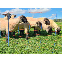 TitanNet Premium AKO Blau / Orange TitanNet Premium AKO Blau / Orange