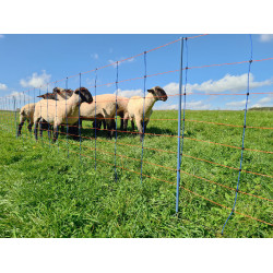 TitanNet Premium AKO Blau / Orange TitanNet Premium AKO Blau / Orange