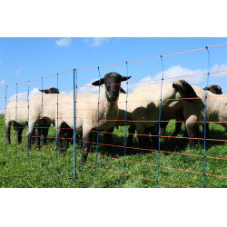 TitanNet Premium AKO Blau / Orange TitanNet Premium AKO Blau / Orange